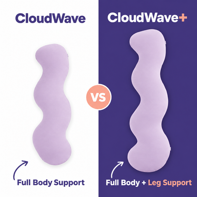 CloudWave vs CloudWave+
