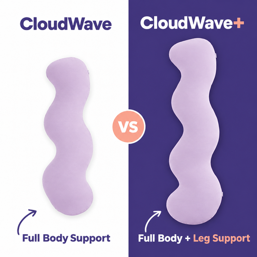 CloudWave vs CloudWave+
